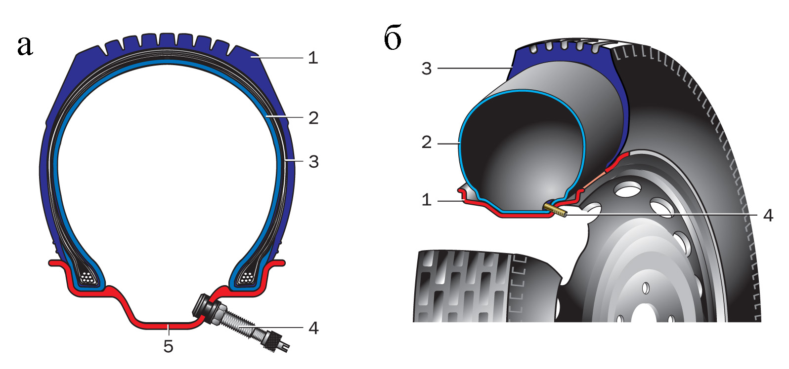 структура колеса